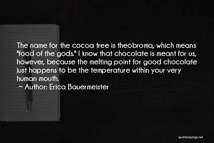 Melting Chocolate Quotes By Erica Bauermeister