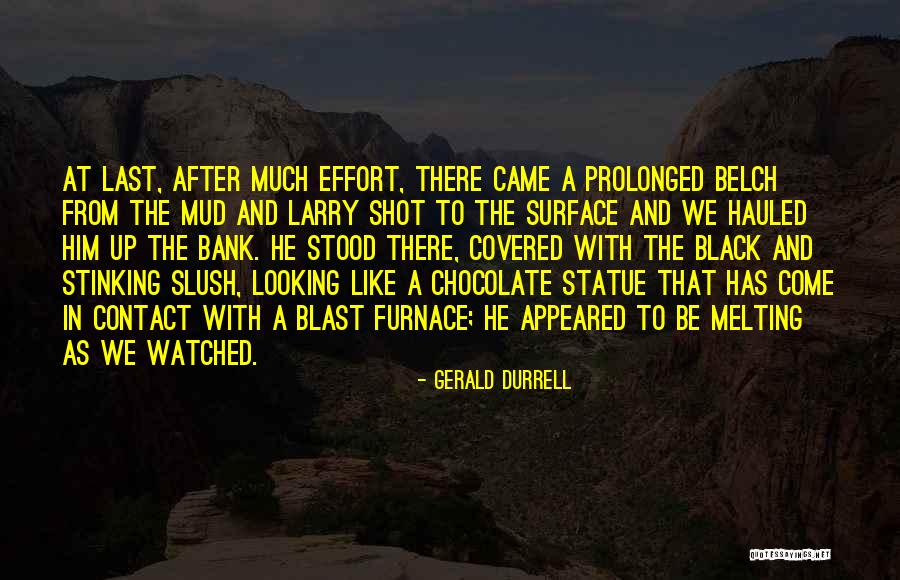 Melting Chocolate Quotes By Gerald Durrell Melting Chocolate Quotes By Gerald Durrell