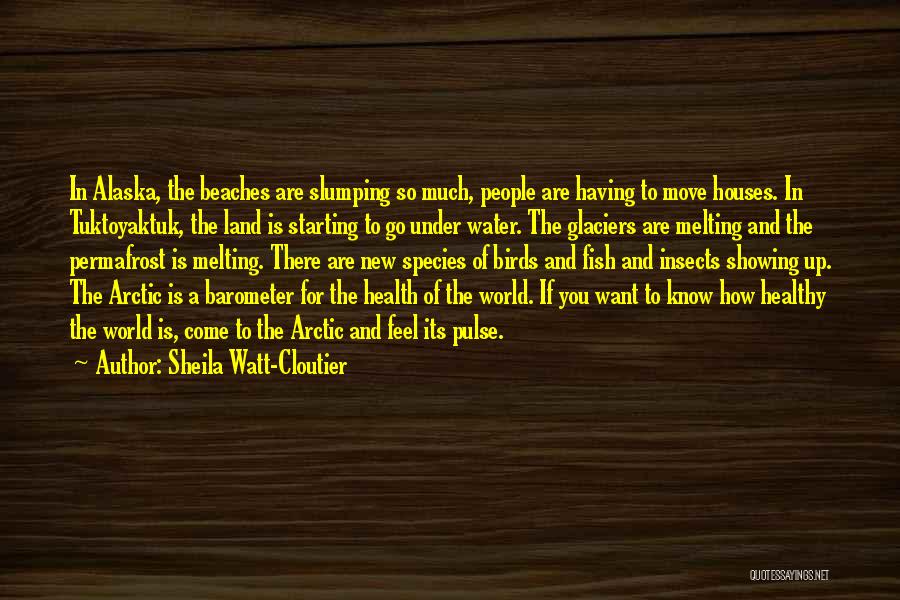 Melting Glaciers Quotes By Sheila Watt-Cloutier