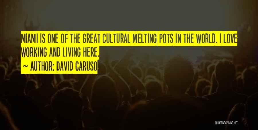 Melting Pots Quotes By David Caruso