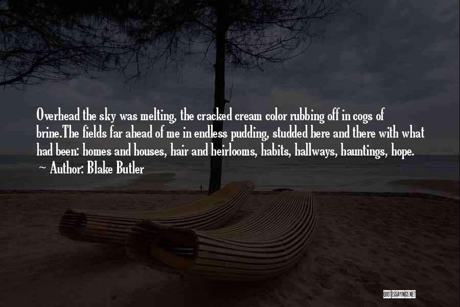 Melting Quotes By Blake Butler