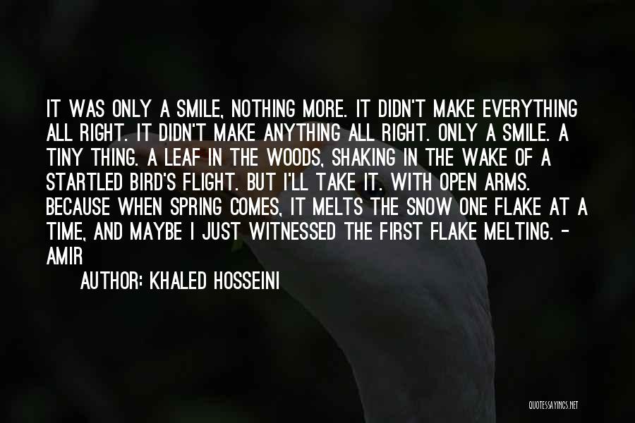 Melting Snow Quotes By Khaled Hosseini