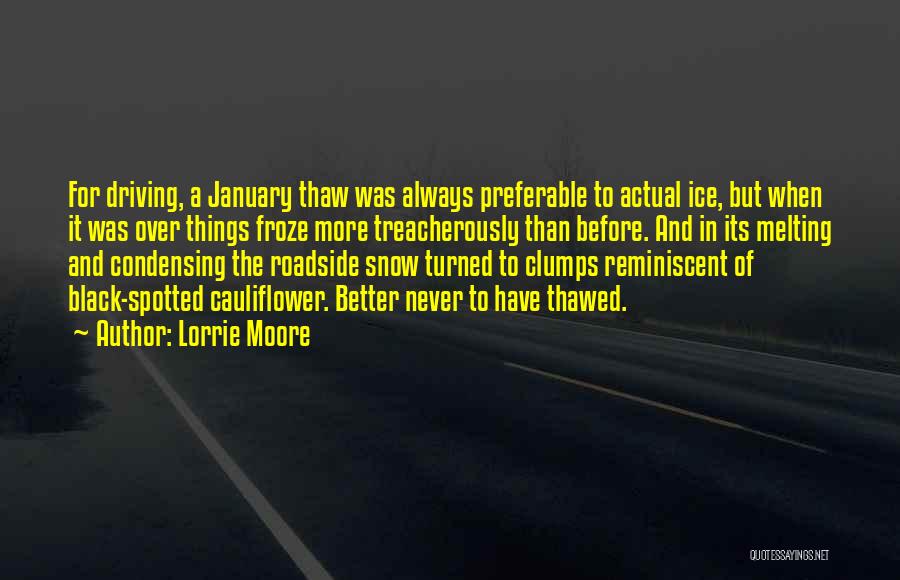 Melting Snow Quotes By Lorrie Moore