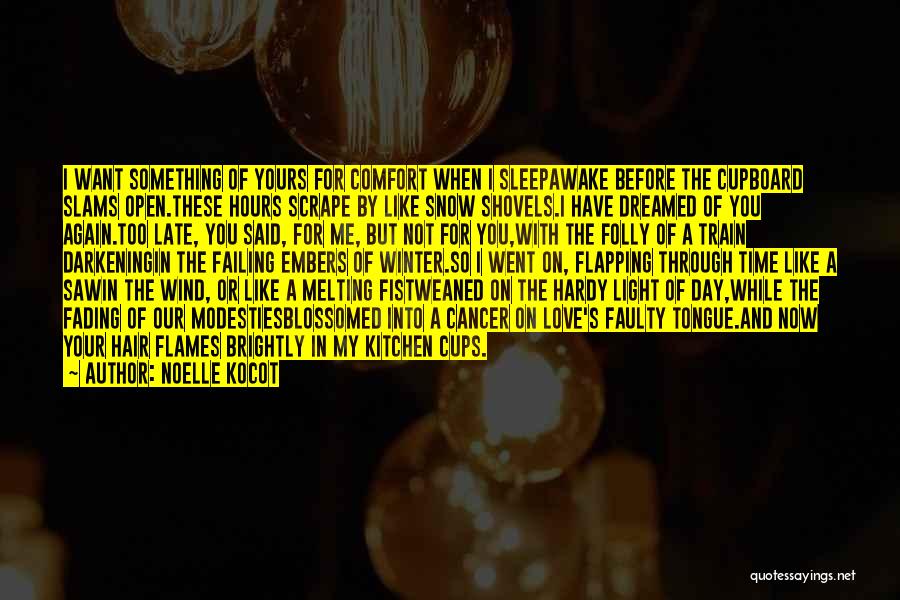 Melting Snow Quotes By Noelle Kocot