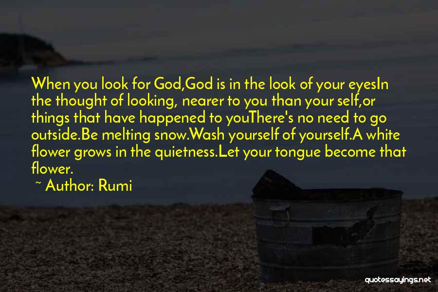 Melting Snow Quotes By Rumi