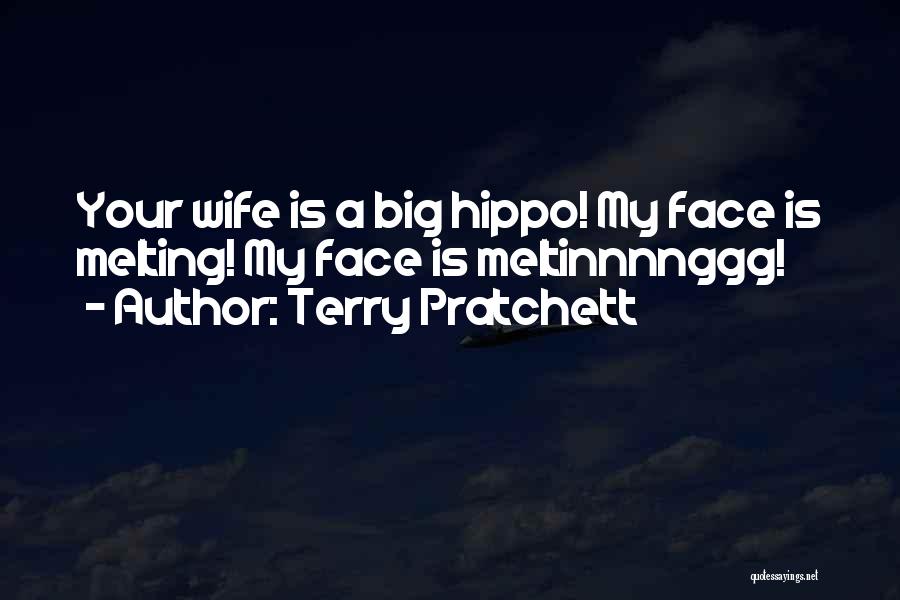 Meltinnnnggg Quotes By Terry Pratchett