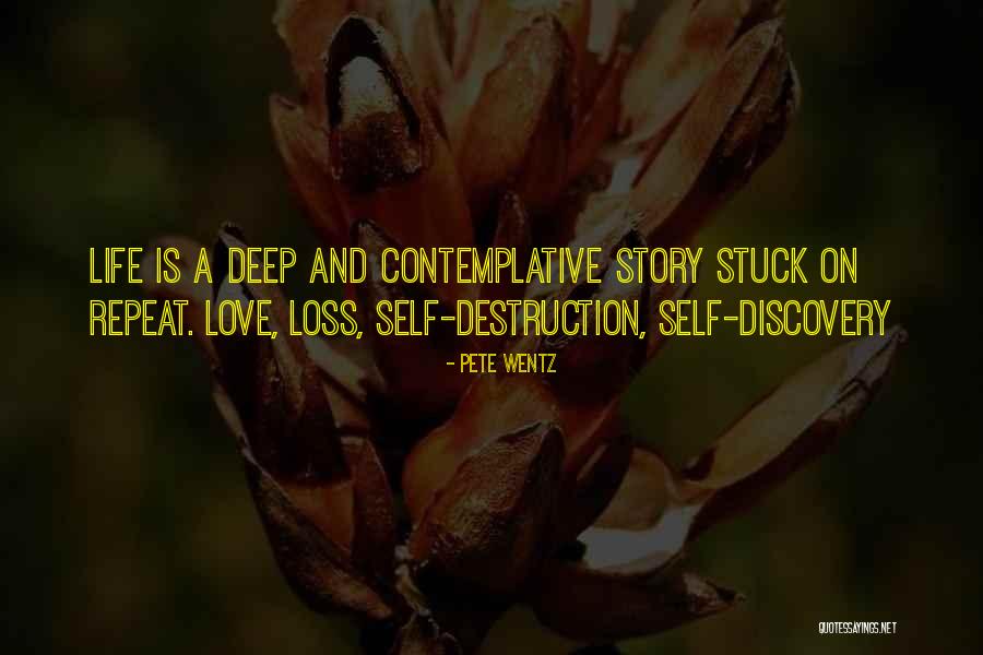 Melucci Celauro Quotes By Pete Wentz Melucci Celauro Quotes By Pete Wentz