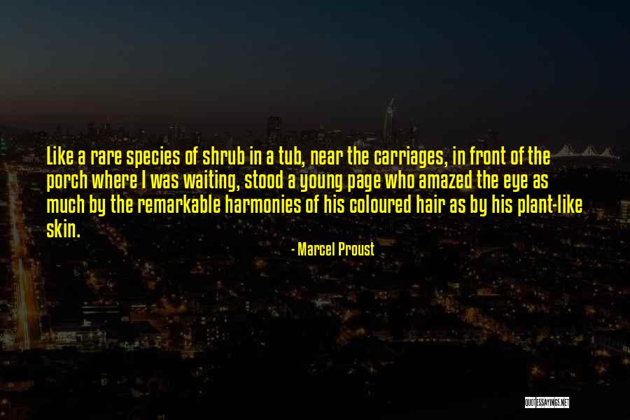 Melvin Lerner Quotes By Marcel Proust Melvin Lerner Quotes By Marcel Proust