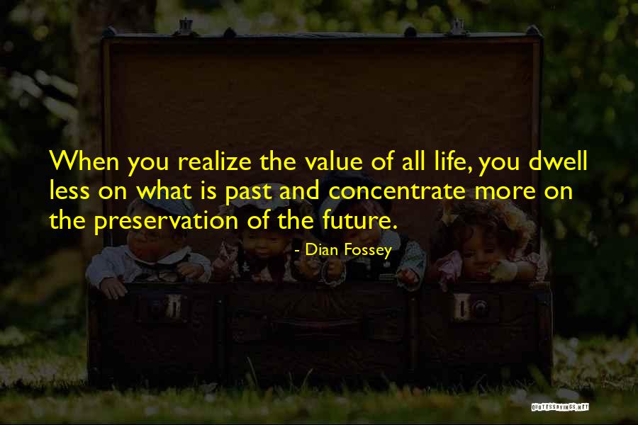 Memalita Quotes By Dian Fossey Memalita Quotes By Dian Fossey