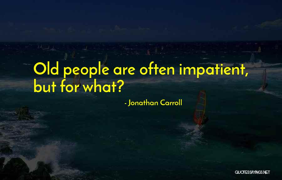 Memanfaatkan Orang Quotes By Jonathan Carroll