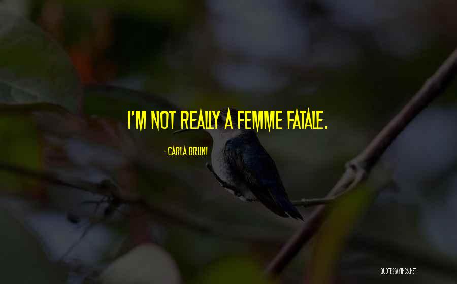Memantau Kesejahteraan Quotes By Carla Bruni Memantau Kesejahteraan Quotes By Carla Bruni