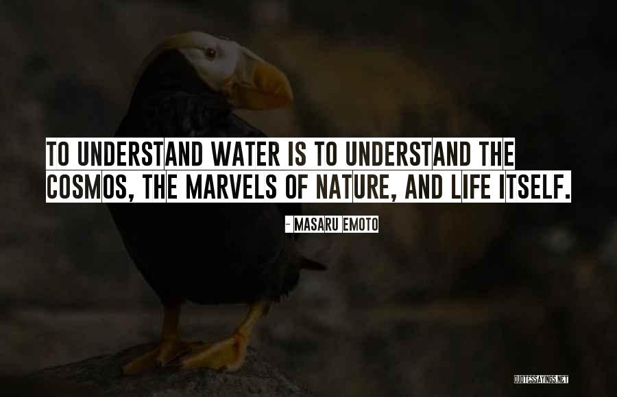 Mematri Adalah Quotes By Masaru Emoto Mematri Adalah Quotes By Masaru Emoto