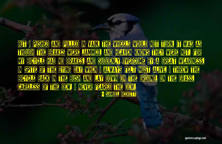 Membeda Bedakan Quotes By Samuel Beckett Membeda Bedakan Quotes By Samuel Beckett