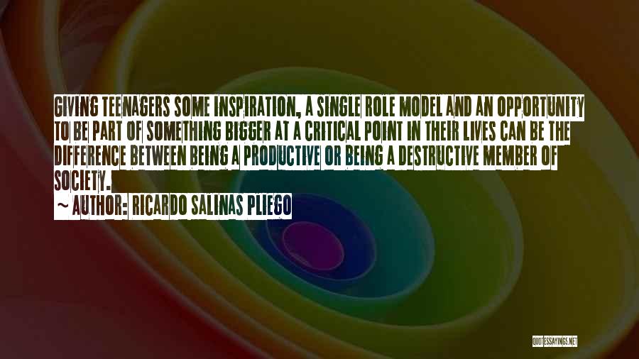 Member Of Society Quotes By Ricardo Salinas Pliego