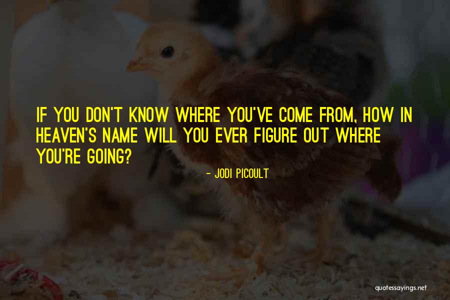 Memberic Quotes By Jodi Picoult Memberic Quotes By Jodi Picoult