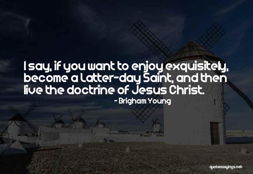 Membrana Hialina Quotes By Brigham Young Membrana Hialina Quotes By Brigham Young