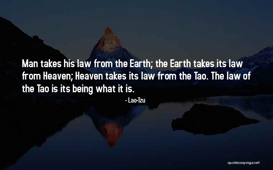 Membrana Sinovial Quotes By Lao-Tzu Membrana Sinovial Quotes By Lao-Tzu