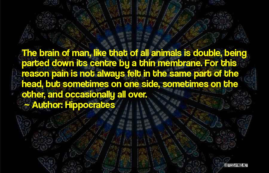 Membrane Quotes By Hippocrates