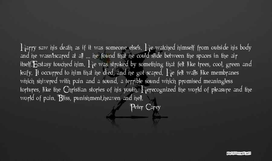 Membranes Quotes By Peter Carey Membranes Quotes By Peter Carey