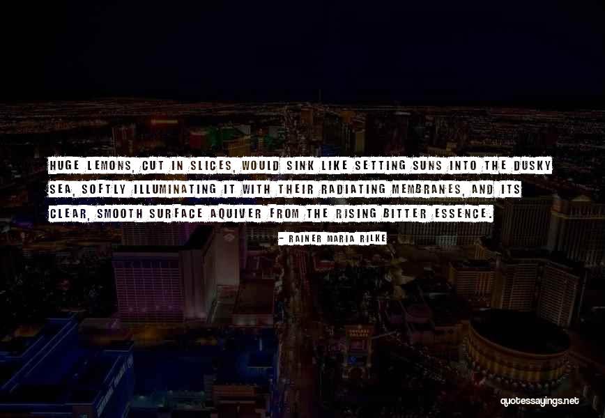 Membranes Quotes By Rainer Maria Rilke Membranes Quotes By Rainer Maria Rilke