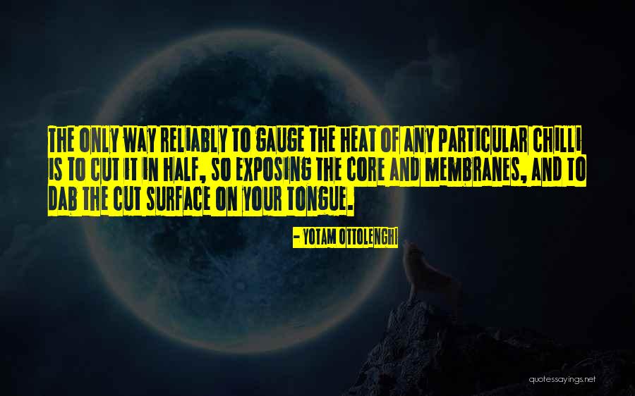 Membranes Quotes By Yotam Ottolenghi Membranes Quotes By Yotam Ottolenghi