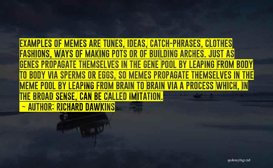 Meme Quotes By Richard Dawkins