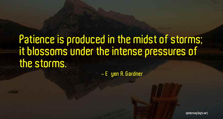 Meme Ruth Langmore Quotes By E'yen A. Gardner Meme Ruth Langmore Quotes By E'yen A. Gardner