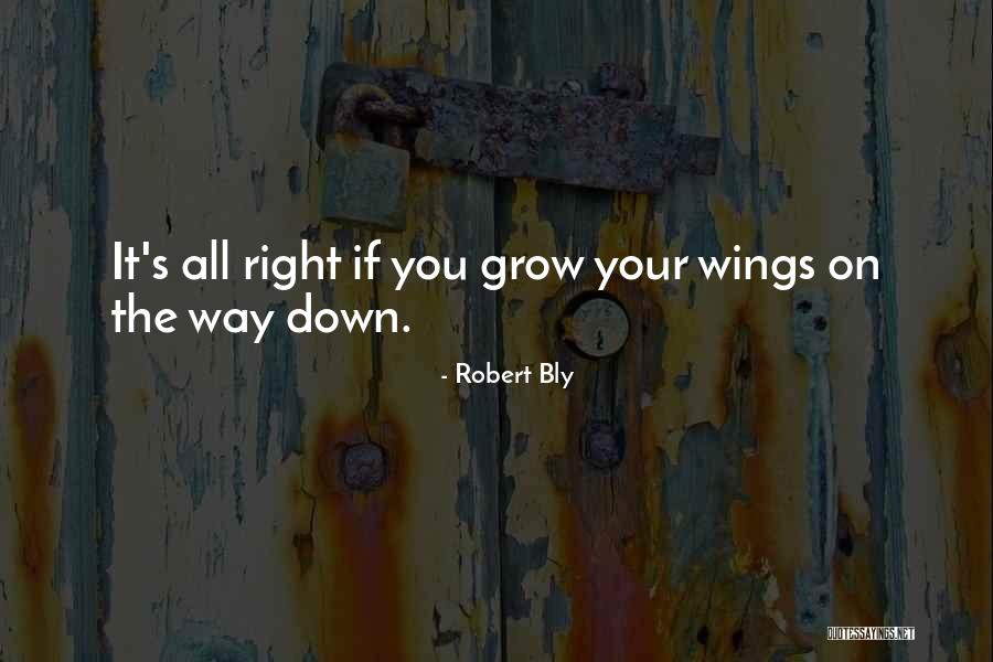Memes About Experts Quotes By Robert Bly Memes About Experts Quotes By Robert Bly