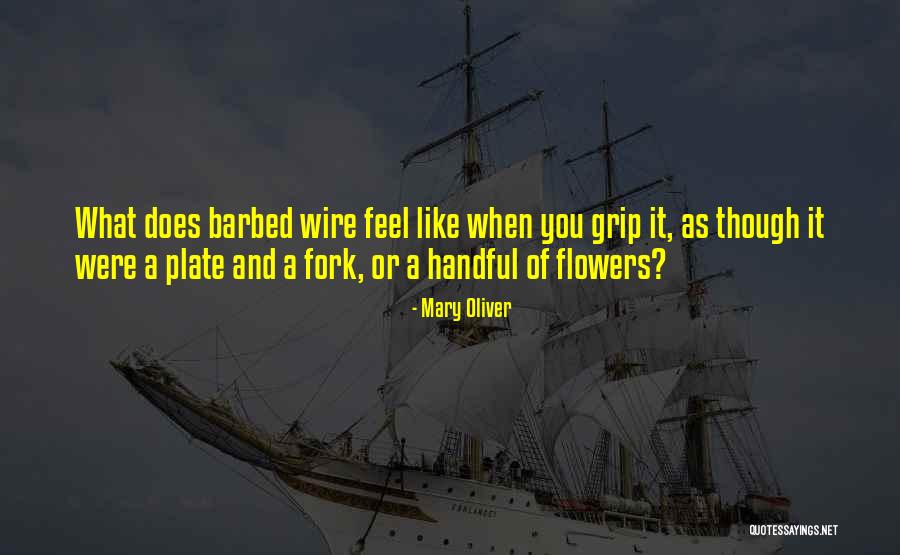 Memimpikan Teman Quotes By Mary Oliver Memimpikan Teman Quotes By Mary Oliver