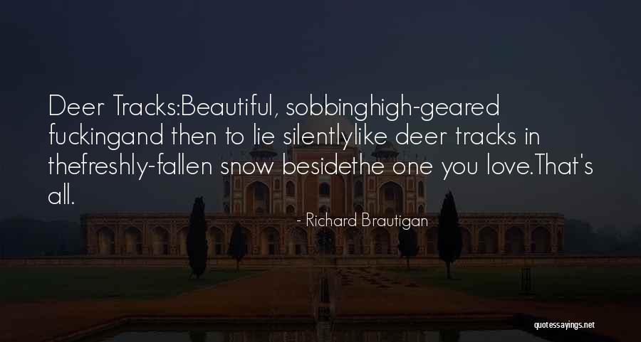 Memole Srl Quotes By Richard Brautigan Memole Srl Quotes By Richard Brautigan
