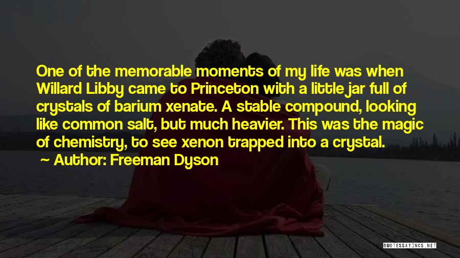 Memorable Moments Quotes By Freeman Dyson