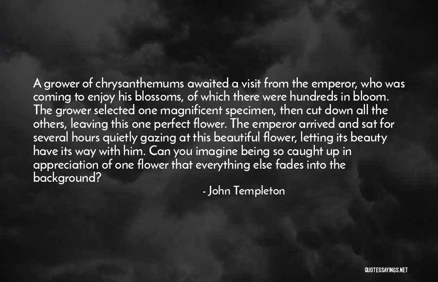 Memorial Day 2014 Quotes By John Templeton Memorial Day 2014 Quotes By John Templeton