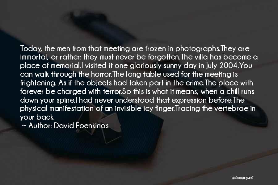 Memorial Quotes By David Foenkinos