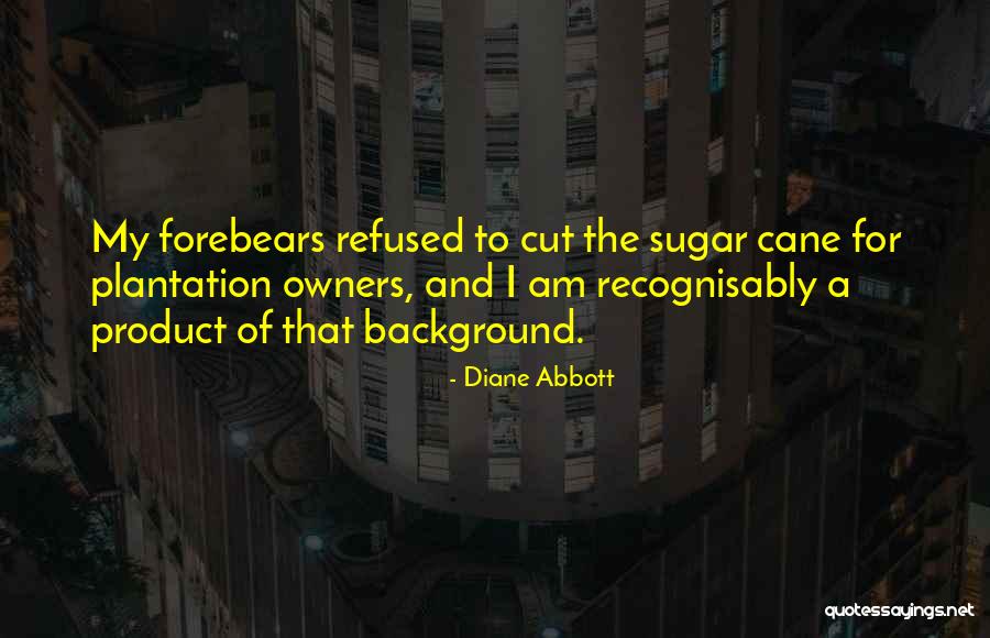 Memorial Stone Quotes By Diane Abbott Memorial Stone Quotes By Diane Abbott