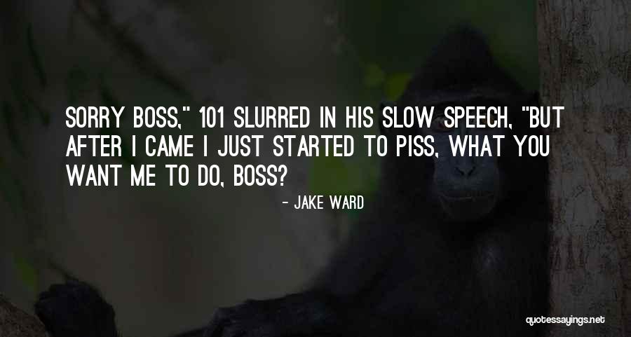 Memorializing Your Dog Quotes By Jake Ward Memorializing Your Dog Quotes By Jake Ward