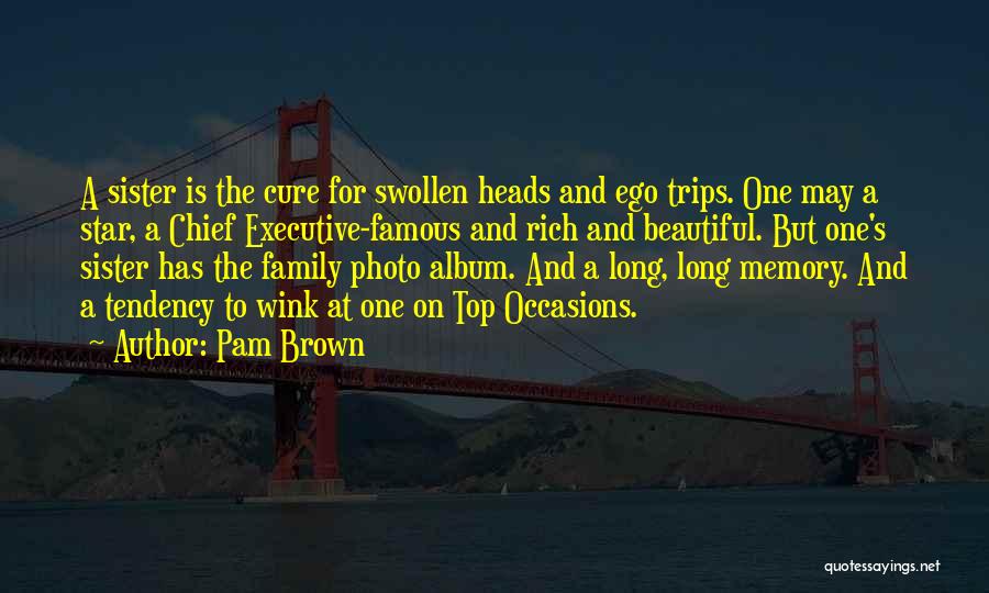 Memories And Family Quotes By Pam Brown