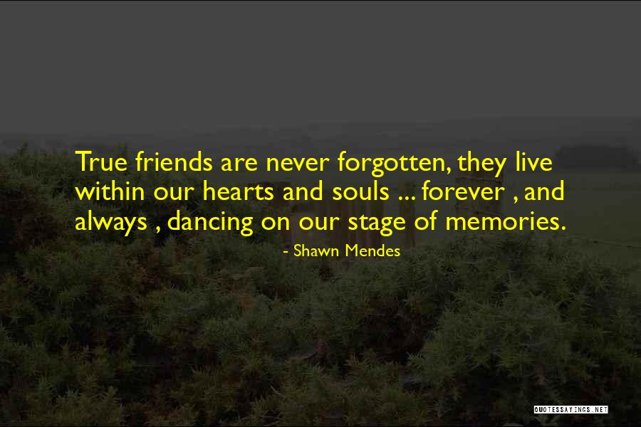 Memories And Friends Quotes By Shawn Mendes