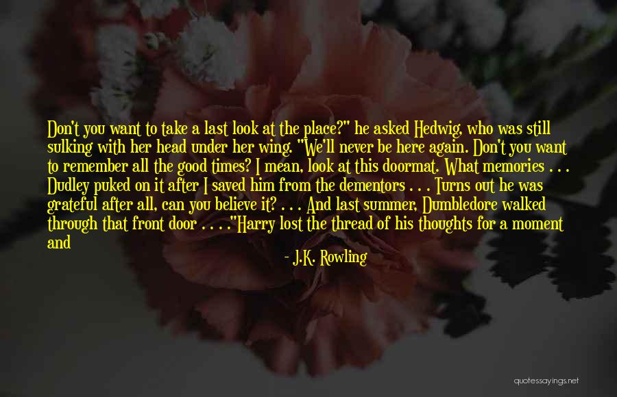 Memories And Good Times Quotes By J.K. Rowling