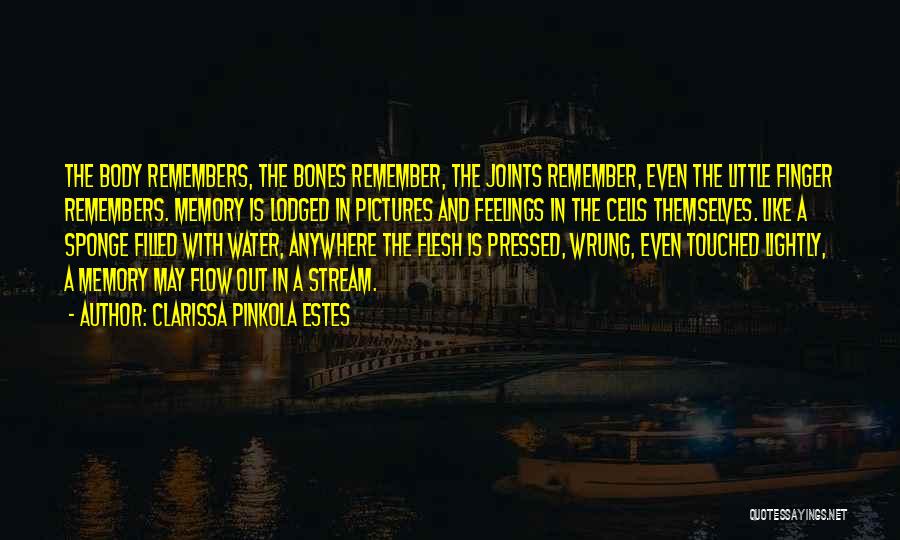 Memories And Pictures Quotes By Clarissa Pinkola Estes