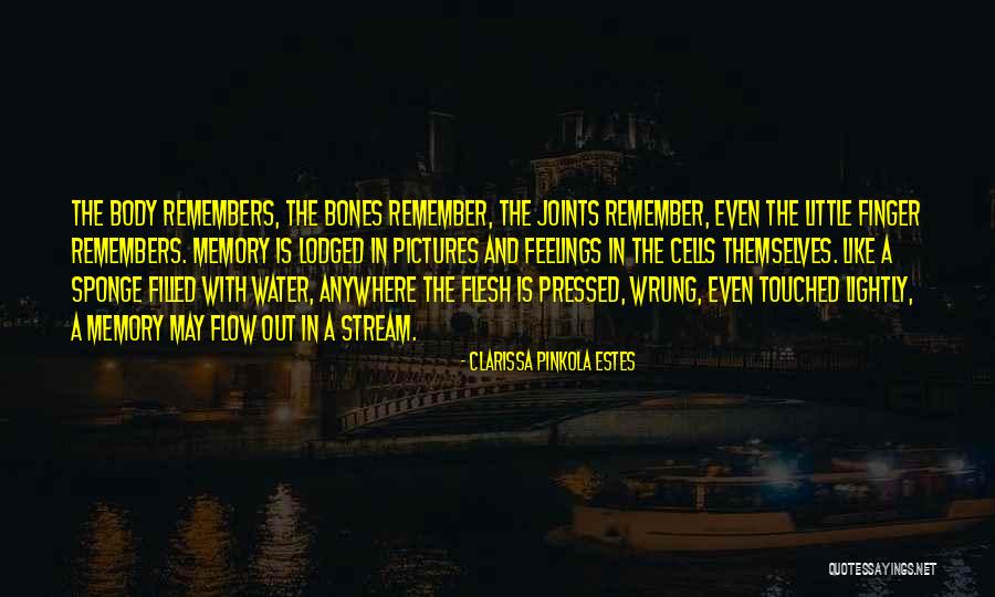 Memories And Pictures Quotes By Clarissa Pinkola Estes