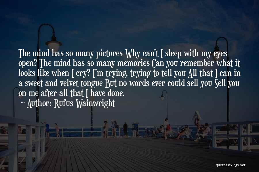 Memories And Pictures Quotes By Rufus Wainwright