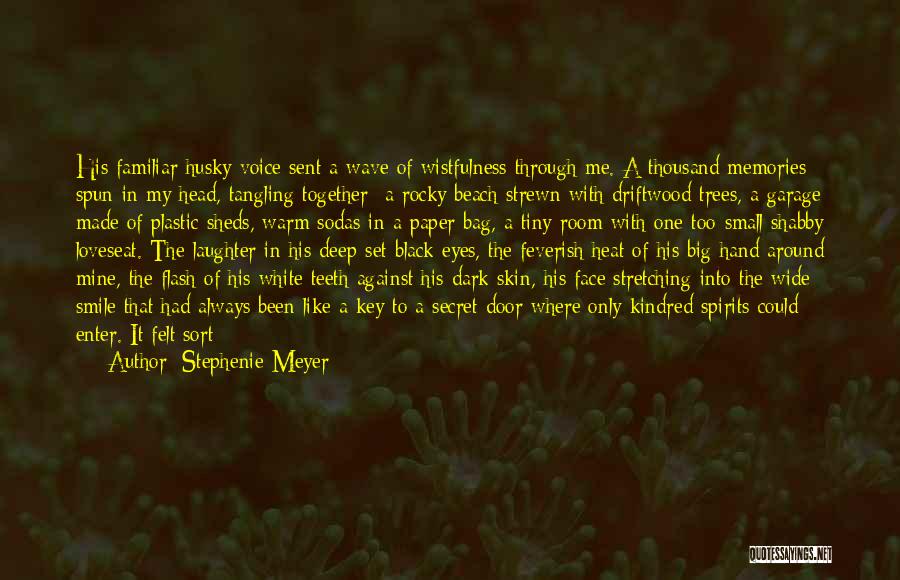 Memories At The Beach Quotes By Stephenie Meyer