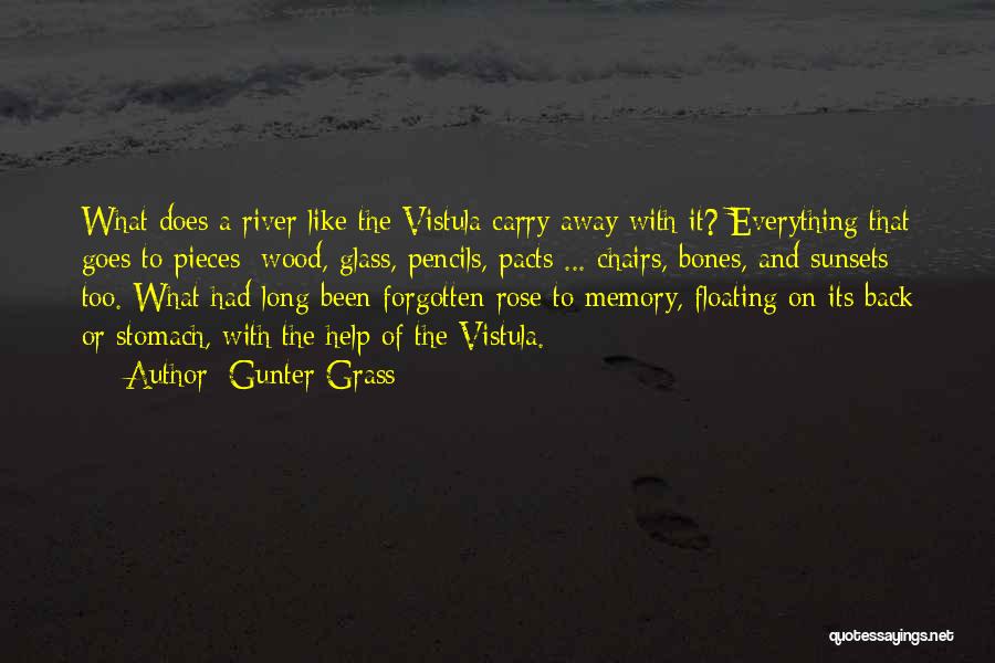 Memories Can't Be Forgotten Quotes By Gunter Grass