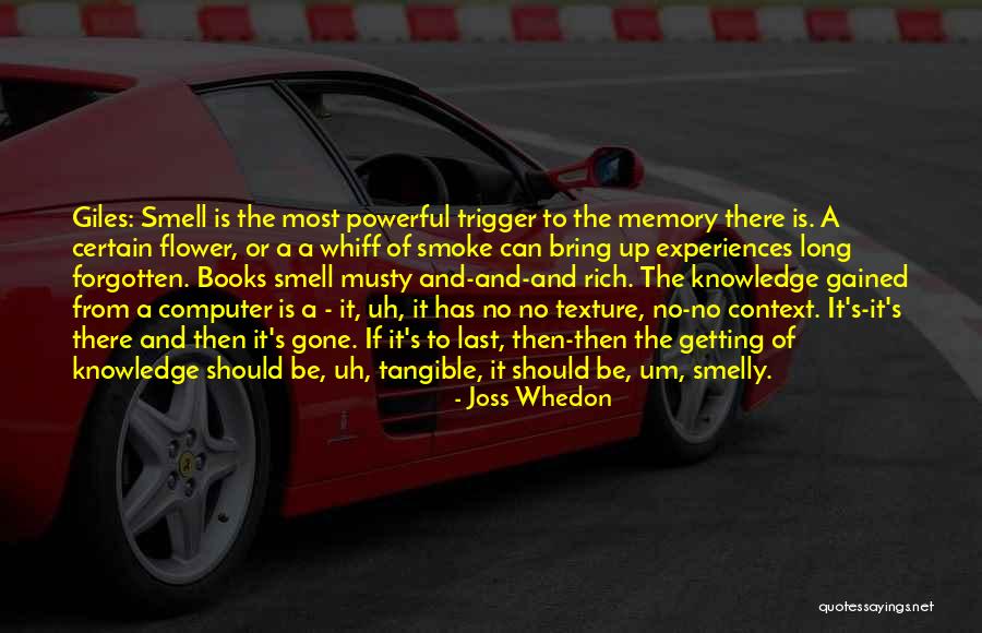 Memories Can't Be Forgotten Quotes By Joss Whedon