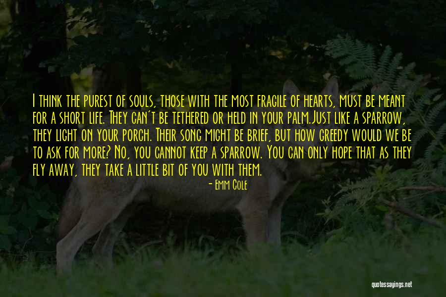 Memories Of A Loved One Quotes By Emm Cole Memories Of A Loved One Quotes By Emm Cole