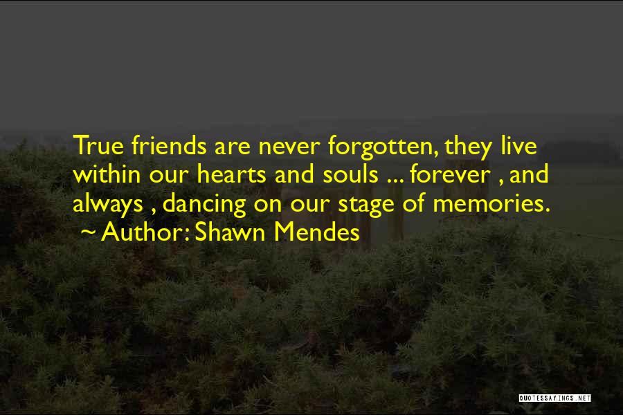 Memories Of Best Friends Quotes By Shawn Mendes