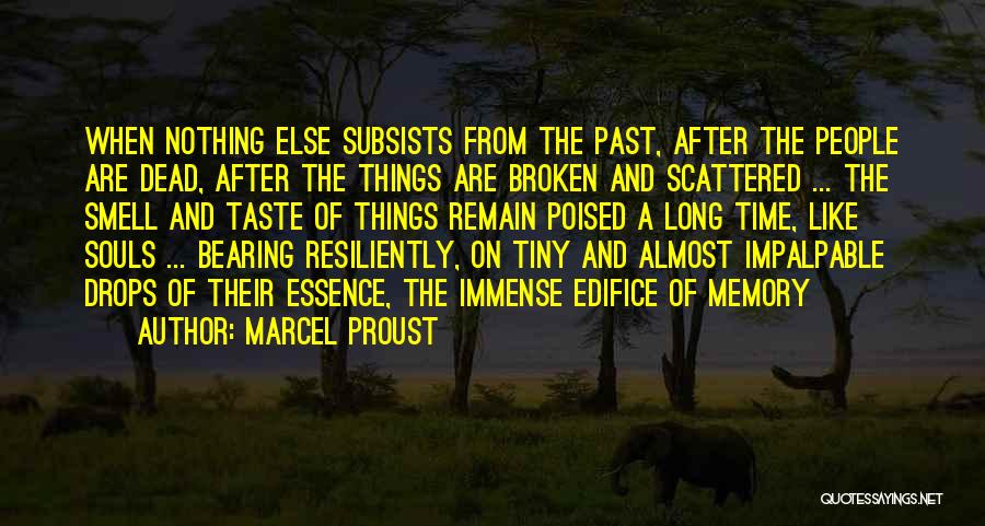 Memories Of The Dead Quotes By Marcel Proust