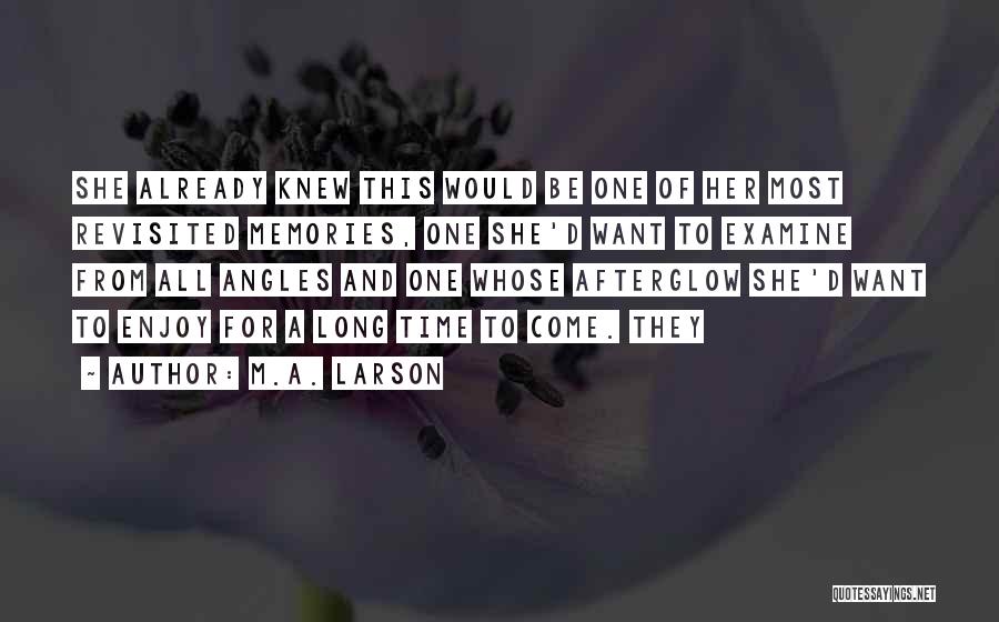 Memories Revisited Quotes By M.A. Larson