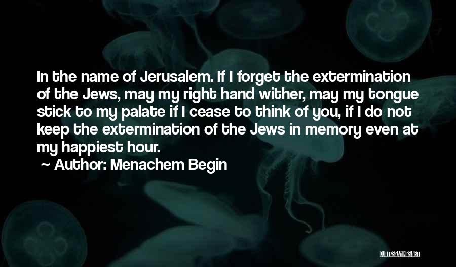 Memories You Can't Forget Quotes By Menachem Begin