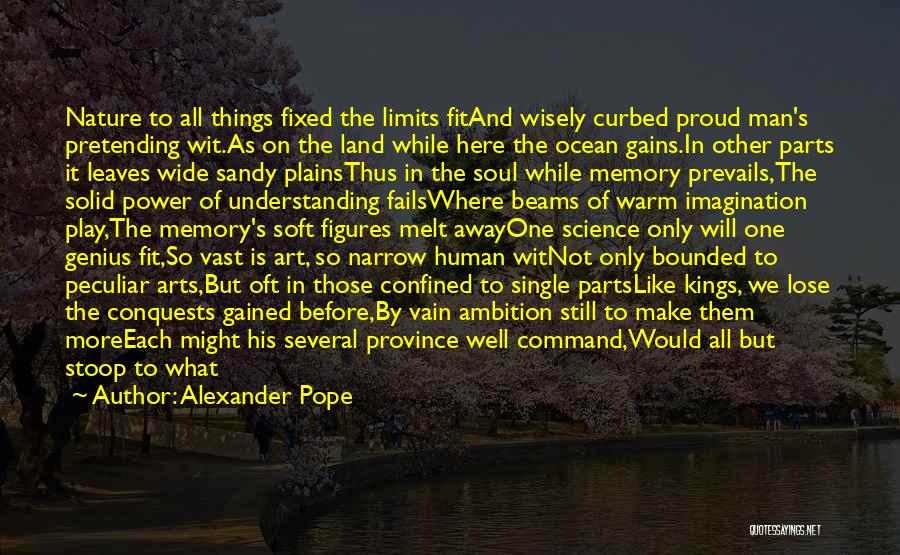 Memory And Art Quotes By Alexander Pope